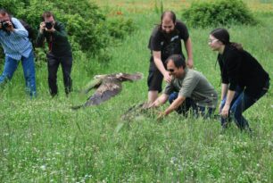 Σέρρες: Απελευθέρωσαν στην λίμνη Κερκίνη τα 15 πουλιά που έσωσαν